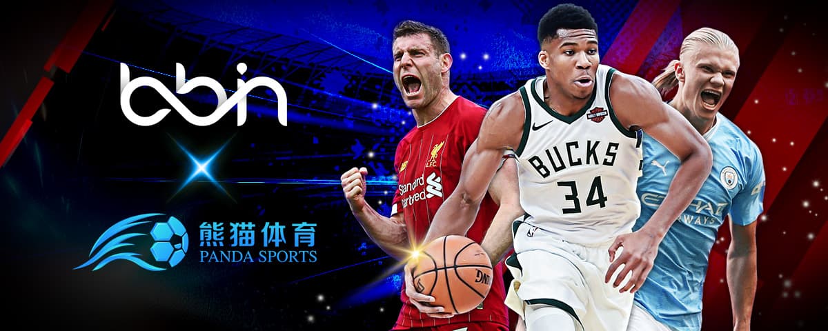 维尔纳完美